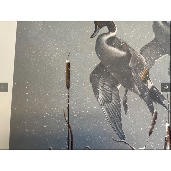 Phillip Crowe Snowy Refuge Signed Limited Edition Offset Lithograph Print - Picture 5 of 12
